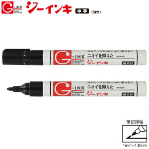 y[OKzwH M^[ W[CL  [  ubN ] Ke[vɂ jIC}VCL y }WbN GIN5P-T1