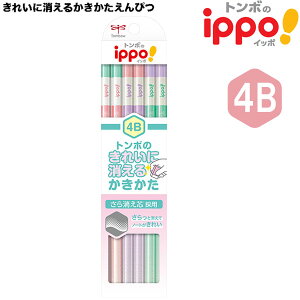 y6܂Ń[OKzg{M ippo! ꂢɏ邩҂ 4B 1_[X [ sN ]  KB-KSKW01-4B Zp M Vwj w wK