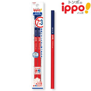 y20܂Ń[OKzg{M ippo! ەtp 73҂ 2{pbN BCA-263 Zp ҂ ҂ ԐM ̓_ Vwj