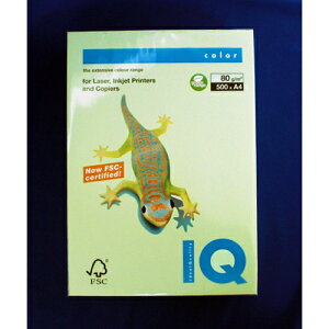 [ɓ]oCIgbvJ[A4BT505O[@500@80g^m2