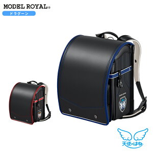 ZCo@Vĝ͂˃hZ@fC hO[@2026@2J[@mr22b-2