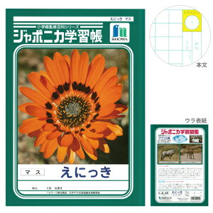 W|jJwK@ɂ@15mm}X@B5@4901772014508@[M 1/5]