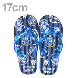 LbYT_@r[`T_@X|[c@j̎qp@17cm@NL07510 [M 1/1]