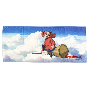 [z]AƖ̉ԁ@tFCX^IX|[c^I@AƉ_C@FT@[No.3835001800] [M 1/5]