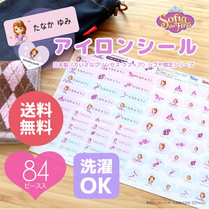 [[֑]fBYj[@ȃvZX\tBA@ACV[@l[V[@84Zbg@SD-SN009@so-name12@[M 1/10]@[disneyzone]