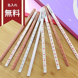 X VuIWiM 2B 12{g 璹//B NAP[Xt sb-pencil08 w j̎q ̎q v[g j 󌱂̂ [֑ ꖳ [M 1/6]