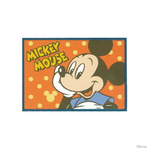 ディズニー ひざ掛け 毛布 タオルケット 通販 価格比較 価格 Com