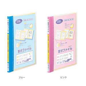 ܏t@C@B4EnjTCY@2J[@LSB80@Vw