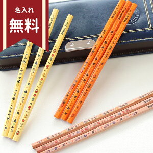 X VuIWiM 2B Zp 12{g ؎ TbJ[/F//{[CYp^[ NAP[Xt sb-pencil14 w j̎q ̎q v[g [֑ ꖳ [M