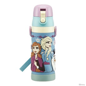 ディズニー・プリンセス　アナと雪の女王　3Dロック付きワンプッシュダイレクトボトル　480ml　SDPV5　2021　[disneyzone]