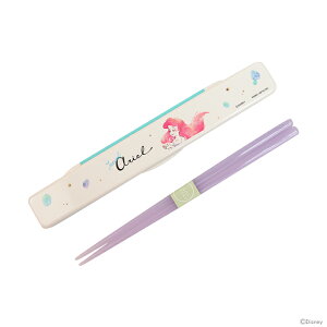 fBYj[vZX@͂͂P[X@J@AG@19298@[M 1/1]@[disneyzone]