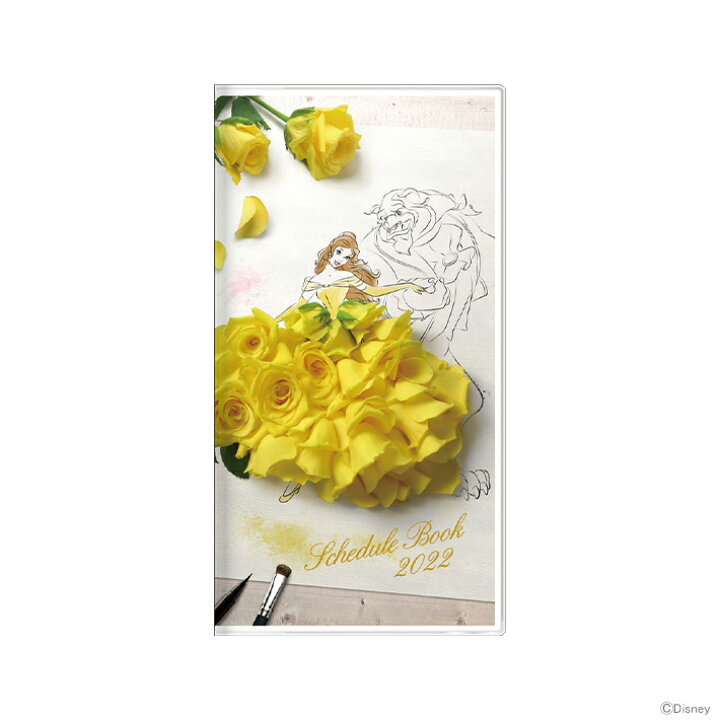 22年スケジュール手帳ディズニープリンセス柄 絶品 22年スケジュール手帳ディズニープリンセス柄 絶品