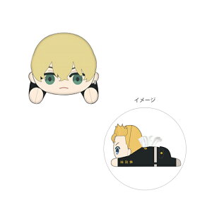 xW[Y@ʂ݃eBbVJo[@F@~@TR-29