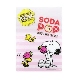 Xk[s[@~@B5@Lp@FC@04@4901770682341@[M 1/20]