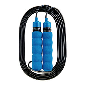 Nc@tBbg[v@ȂƂс@u[@NT017BL@Vw@[M 1/2]