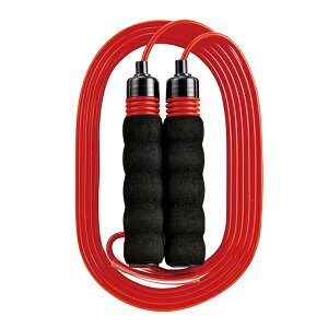 Nc@tBbg[v@ȂƂс@ubN@NT017BK@Vw@[M 1/2]