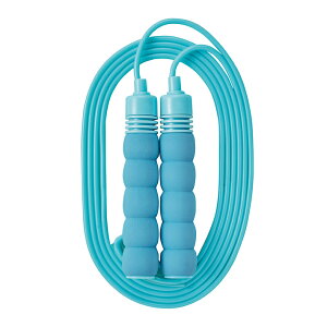 Nc@tBbg[v@ȂƂс@~g@NT017MT@Vw@[M 1/2]