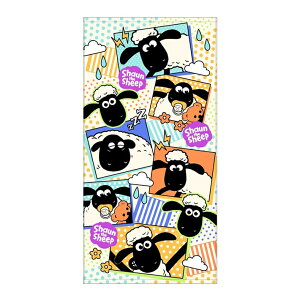 Ђ̃V[@oX^I@t[NV[@BM482800@[M 1/1]