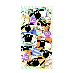 Ђ̃V[@RpNgoX^I@O[r[@CM482800@[M 1/1]