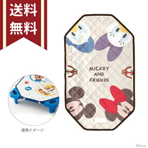 �f�B�Y�j�[�@�~�b�L�[&�t�����Y�@�R�b�g�J�o�[S�@60×100cm�@BCV1�@[disneyzone]