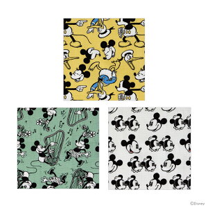 fBYj[@btnӂ@3@~bL[}EX@KFWC3@[M 1/1]@[disneyzone]