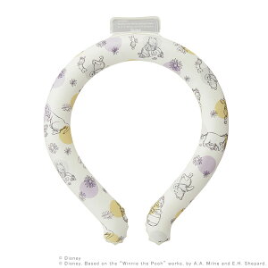 fBYj[@O@LTCY@܂̃v[23@NCL2@[M 1/1]@[disneyzone]