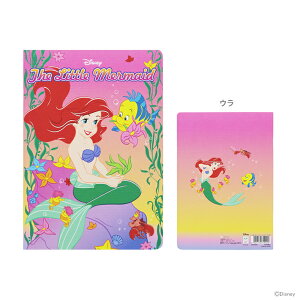 fBYj[vZX@gE}[Ch@m[g@A5@AG@4901770719900@[M 1/7]@[disneyzone]