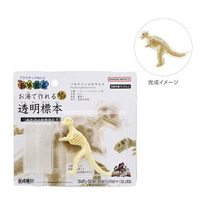 ܂@ō铧W{@fBmEA[X@pLPt@TEX@4901771316078@[M 1/1]