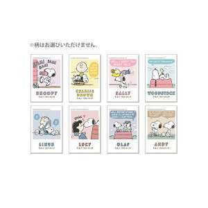 Xk[s[@g[fBOʃ}Olbg@8ނ̂ǂꂪ͂͂y݁@303133@[M 1/27]