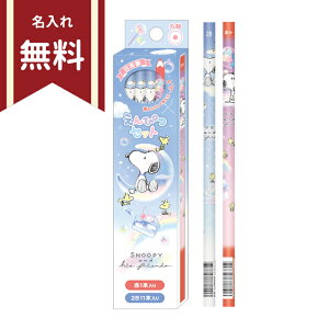 �X�k�[�s�[�@�����������M�@2B�@�ێ��@12�{�g�@�ԉ��M1�{����@117341�@�V���w����@�����ꖳ���@[M�� 1/6]