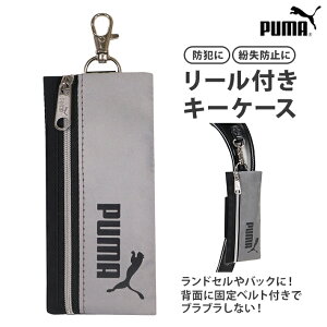 v[} [tL[P[X PM424@j̎q  P[X O[ Vo[ ˍސn Nc wpi ʊwpi Vw [M 1/4]