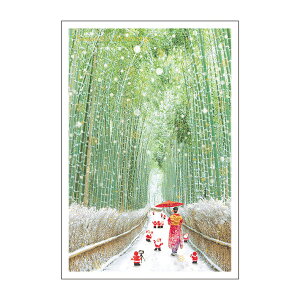 a~jT^J[h@|т̓@SJ-65@[M 1/2]