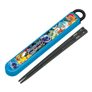 |P@RېH@ΉZbg@16.5cm@ABS2AMAG@[M 1/3]