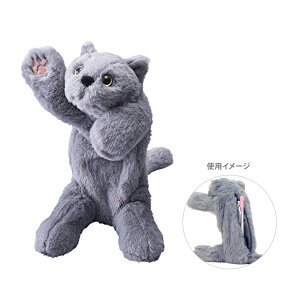 LOW@|[Y[@y|[`@lR@PZ2020@[M 1/2]