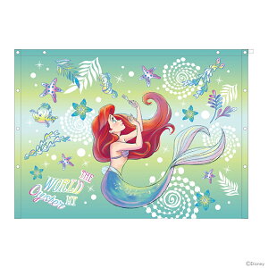 fBYj[vZX@AG@}L^I@80cm@VCj[I[V@[No.2095013800] [M 1/1]@[disneyzone]