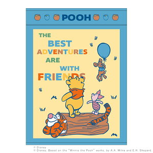 fBYj[@܂̃v[@QPbg@Ahx`[th@[No.2125023300]@[disneyzone]