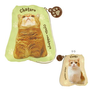 �����Y�Ƃ��Ȃ��@�_�C�J�b�g�|�[�`�@�S�g���@ZDPA1�@[M�� 1/2]