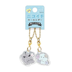 ՂjRC`L[z_[@AN}[kƃ]r[k@122873@[M 1/18]