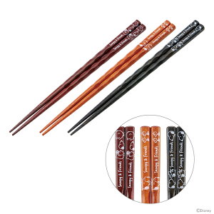 Xk[s[@₷@23cm@3PZbg@ANEN45T@[M 1/3]