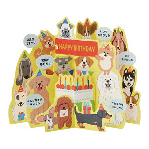 o[Xf[J[h@́@Ckς@808946@[M 1/4]