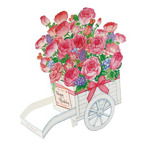 o[Xf[J[h@́@ỏԎԕ@884243@[M 1/4]