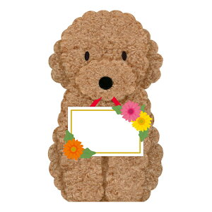 O[eBOJ[h@ړI@́@gCv[hv[g@173657@[M 1/4]