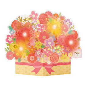 o[Xf[J[h@CgfB[J[h@́@Ԃ@174238@[M 1/4]