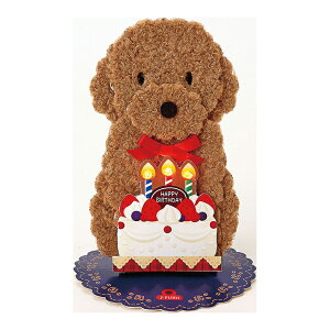 o[Xf[J[h@CgfB[J[h@́@gCv[hP[L@184161@[M 1/4]