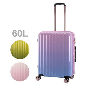 ACTUS COLOR'S@N[@X[cP[X@M@60L@74-20580