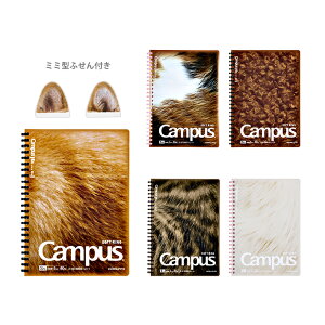 RN@LpX@\tgOm[g@A5@5mm@80@X-S138S5-L1@[M 1/1]