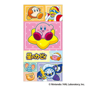 ̃J[rB@Dp|`܁ENʑ܁@13@445733002@[M 1/10]