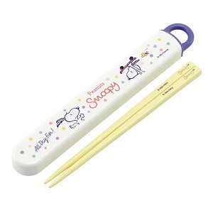 Xk[s[@Rہ@H@ΉXCh&Zbg@16.5cm@XP[g{[h@ABS2AMAG@[M 1/3]