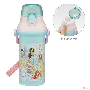 fBYj[vZX@Rہ@H@Ή݃v^b`{g@480ml@PSB5SANAG