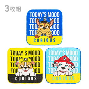 pEEpg[@v`^I@3g@[h@PO462500@Vw@[M 1/4]